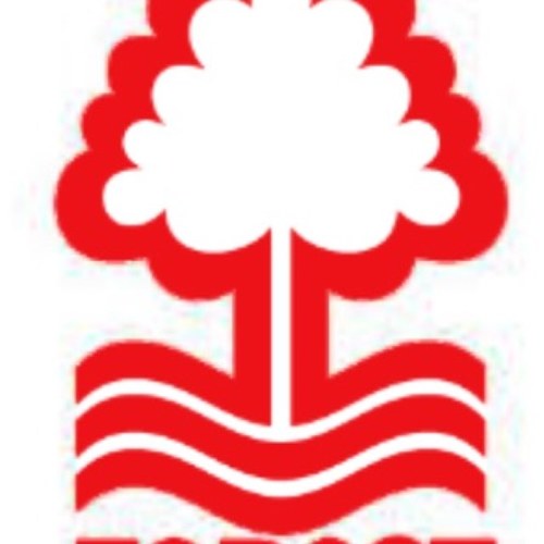 SamNFFCNewton's profile picture. 