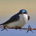 Jeff Reiter - @jjreiter - Twitter