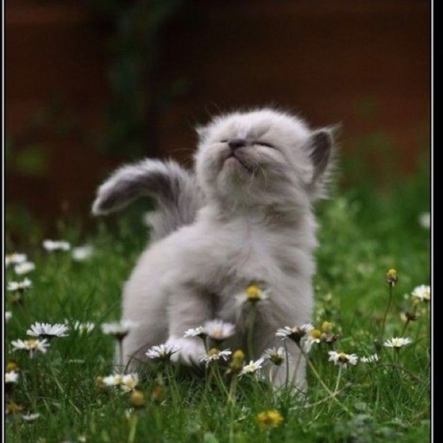 kuzin4668302's profile picture. 