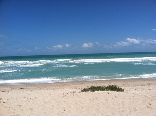 PColaBeachJo's profile picture. 