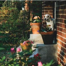 RegentSquarePGH's profile picture. Everything Regent Square in Pittsburgh, Pennsylvania.