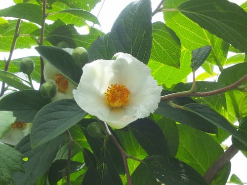 happyreasons's profile picture. 