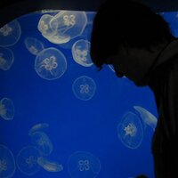 Martin Seay (@martinseay) 's Twitter Profile Photo