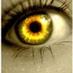 Mercedes Mansilla (@alomecha) Twitter profile photo Mercedes Mansilla (@alomecha) Twitter profile photo
