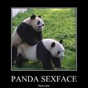 Logan - @Logan_Pryor81 - Twitter