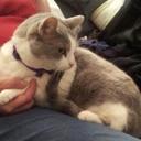 Jeff Shipley - @JCShipley - Twitter