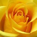 Brenda Russo - @Pink_Girl80 - Twitter