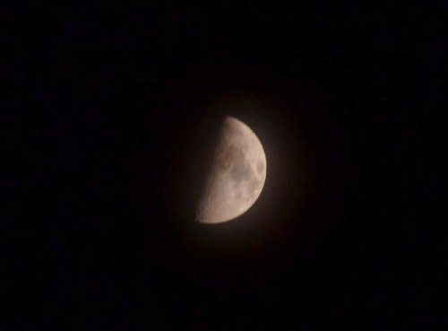童話作家櫻田陽子です。 掲載の写真は全て自分で撮ってます。どうぞよろしくお願いします。