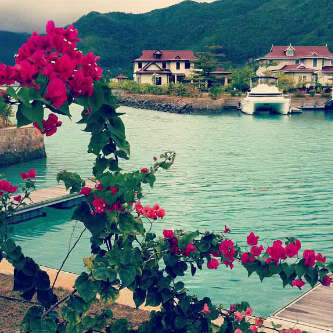 y__almansoori's profile picture. 