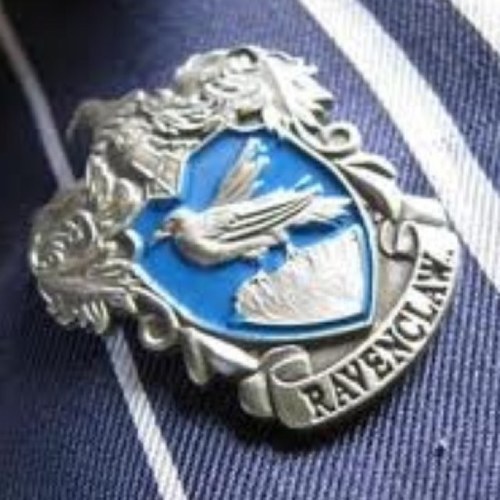 Wit beyond measure is man's greatest treasure-Rowena Ravenclaw #Ravenclawpride