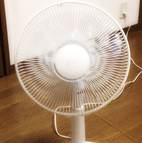健気にあなたを冷却する扇風機です。寒くなったら用済みです。今年は頑張ってます。
