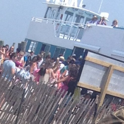 FireIslandProbs's profile picture. 