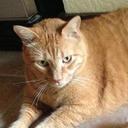 Laura Slay - @watsieslay - Twitter