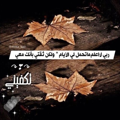 من تواضع للناس رفعه الله