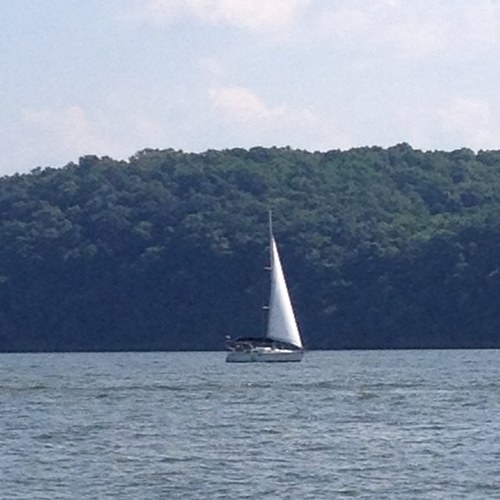 golfer8087's profile picture. 