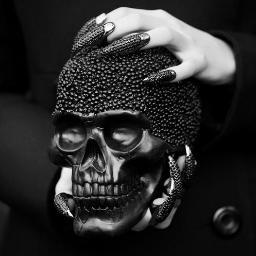 vanergaurd's profile picture. 