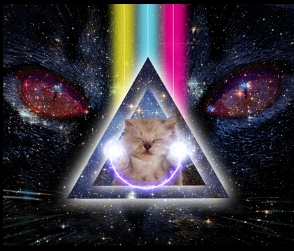Cats Rule Everything Around Me C.R.E.A.M. get the kitty im the fuckin cat y'all