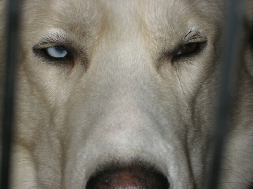 wenchtech's profile picture. Alarm clock, taxi driver, boo boo fixer upper, wife, mother friend, and recording tech.