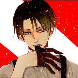 160 cm tall. 65 kg. Lance Corporal in the Scouting Legion, and humanity's strongest soldier. Believe you won't regret the choices you make.