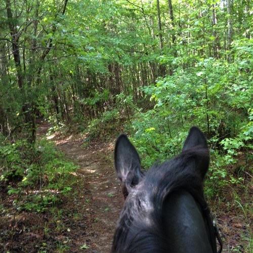 lifeofaTB's profile picture. Not judging. Just observing 
*knees to your nose and thats how it goes*