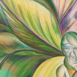 art & yoga  half moon bay  california
