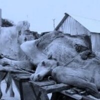 Saving Maandeeq (@savingmaandeeq) 's Twitter Profile