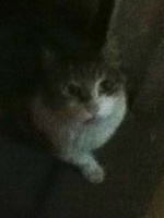 UnderempAmerica's profile picture. OLAASM: Maybe we should stop deluding ourselves with the fantasy that people who perpetuate violence on genocidal scale are going to cow to chants?
#IWW