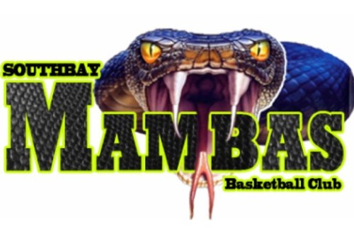 mambahoops's profile picture. Skills built on the court, 
driving success off the court!