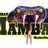 mambahoops's profile image