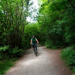 findingease's profile picture. Fueled by mountains and rivers
Driven by creativity
Endlessly in love with life, the universe, and everything!