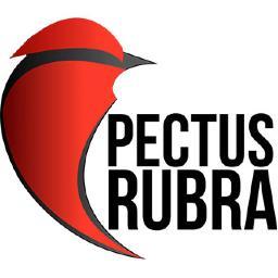 PectusRubra's profile picture. Consultoría en Marketing Digital y Desarrollo web. Más de 300 tazas de café transformadas en energía y creatividad a tu disposición.