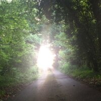 Colin Greenwood (@colingreenwood) 's Twitter Profile