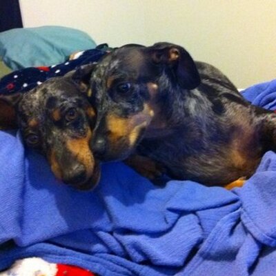 Katerjack13's profile image