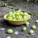 Matt Pearce - @mattonthehill - Twitter