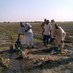 Sril Farms Ltd (@srilfarms) Twitter profile photo