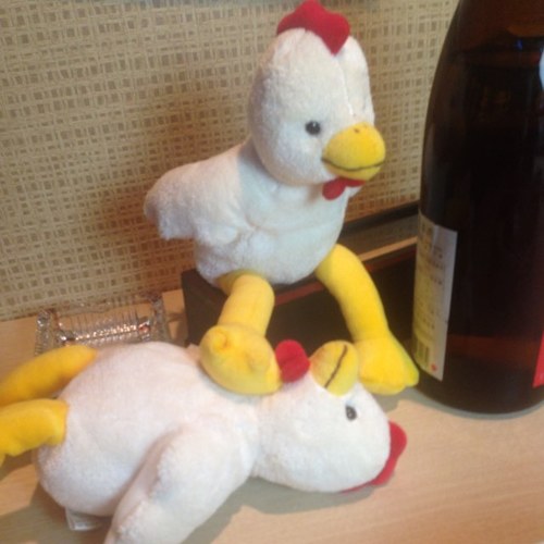 tora45kuma3kawa's profile picture. 