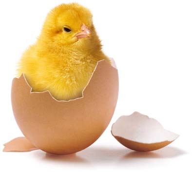 LilianeJenner1's profile picture. Jeune retraitée qui veut maintenant profiter de la vie