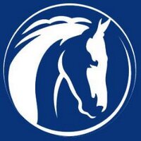 World Horse Welfare(@HorseCharity) 's Twitter Profileg