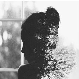 Gulgez97's profile picture. 