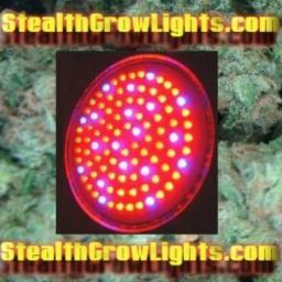 Lets Light Er Up! $ave Energy & Grow Big Plants with LED Grow Lights for Cheap! The Best LED Lights for Growing Indoors! Top LED Grow Lights On The Market! ☺