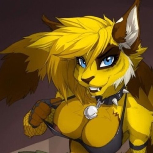 Furry of your dreams;) #cumdump my master is @Seraphim_call_ @BaalTheDark owns me.im @ThundahClaws 's bitch.wanna have fun?Then dont be shy lets get dirty bitch