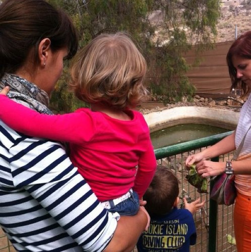 ElenaPisos's profile picture. Médico Especialista en Medicina Interna. Enfermedades Infecciosas y Medicina Tropical.