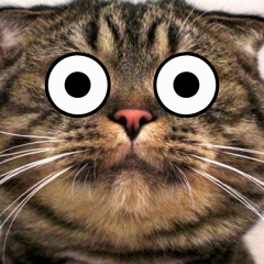 siam__'s profile picture. どこにでもいるゾンビ。本読んだら、映画観たり。好きな食べ物は、ロースカツ/麻婆豆腐/カレー&ライス