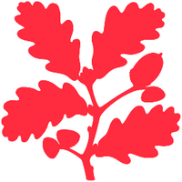 Chiltern Countryside (@chilternsnt) 's Twitter Profile