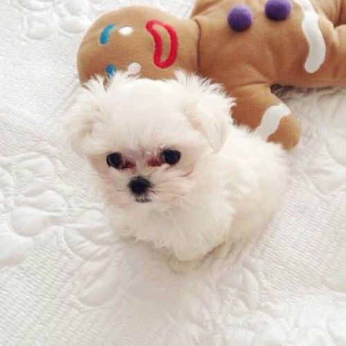 shiningfany's profile picture. 탱싴썬티효율수윤서❤