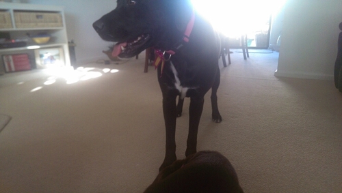 SiennaCrate's profile picture. 