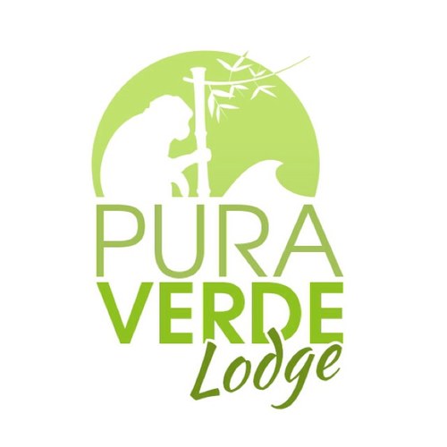 Welcome to Pura Verde Lodge P.V.L is a small sized sustainable and comfortable eco lodge. Located between sea and mountain, in the heart of the rainforest.