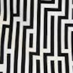 thecatevans's profile picture. 