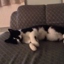 maddison edwards - @maddiedwards24 - Twitter