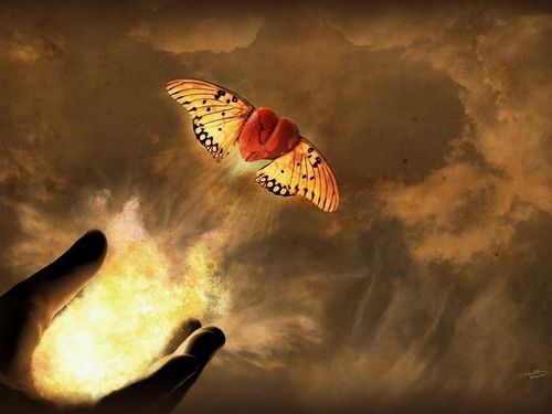 Experta en sentir mariposas cuando estoy con él